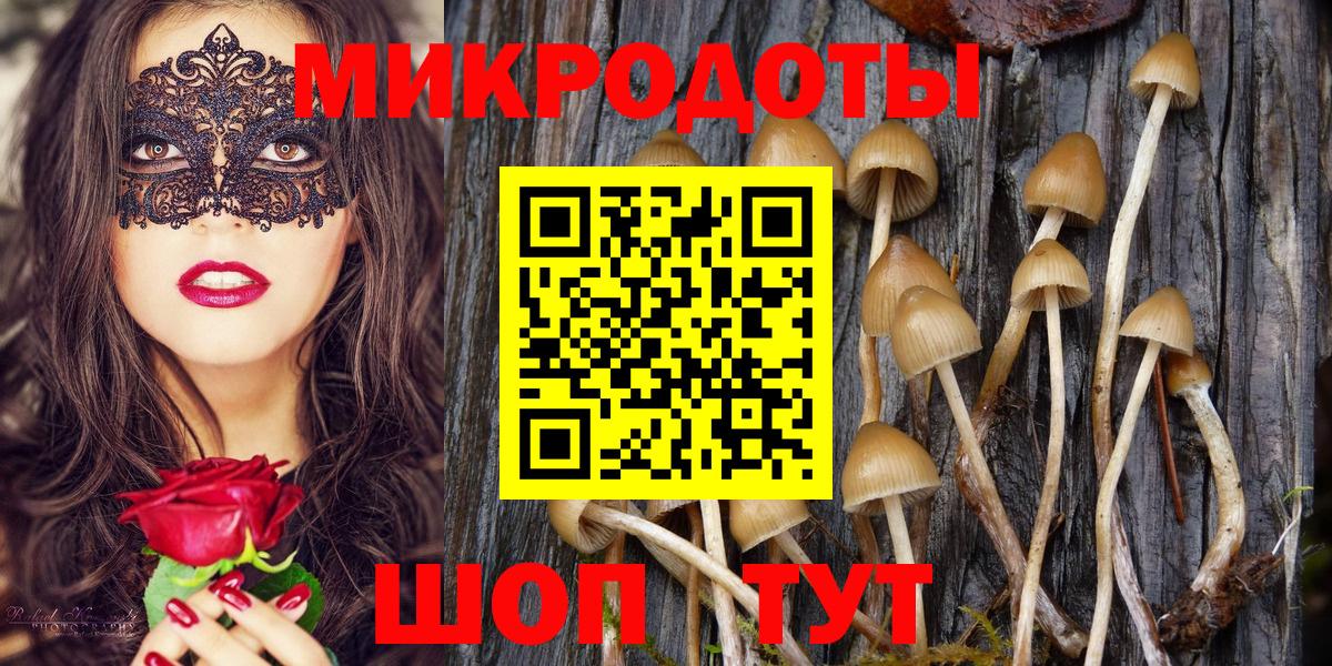 Галлюциногенные грибы Psilocybine cubensis Камышин