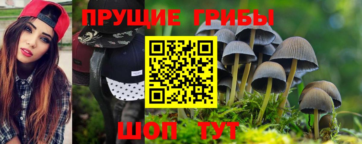 Камышин  Псилоцибиновые грибы Psilocybe  Вход с VPN  Галлюциногенные грибы GOLDEN TEACHER 